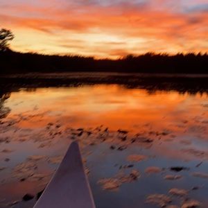 Meet your Posher, Marlo